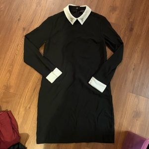 Collared Black Dress